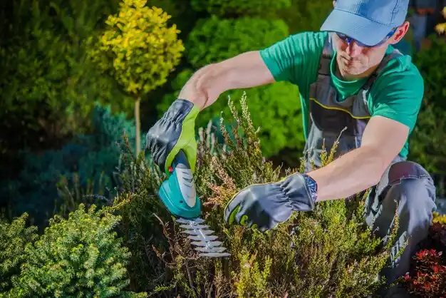 landscaping services Scotts Corners